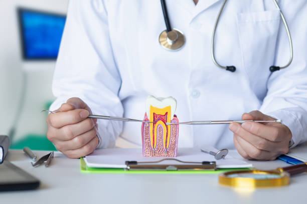 Best Emergency Orthodontic Repairs in Terre Hill, PA